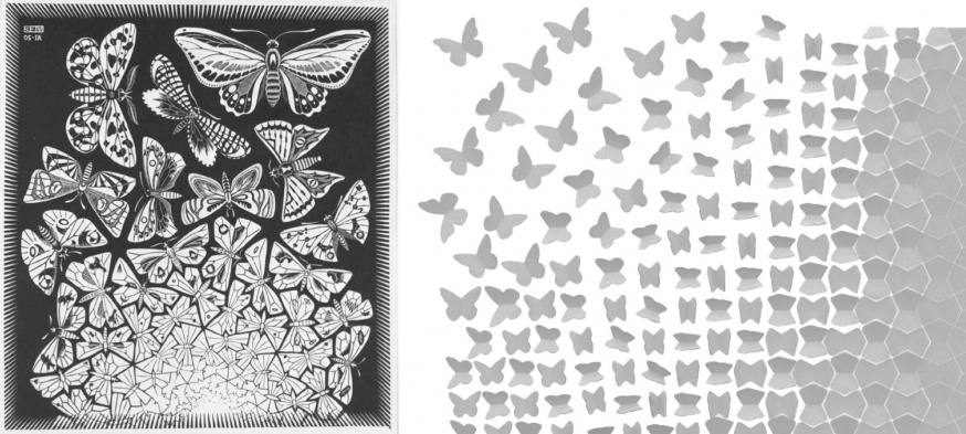 ESCHER SCHMETTERLINGE & METAMORPHOSIS ELEVATION