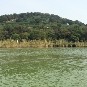 Lake Taihu Site Photographs