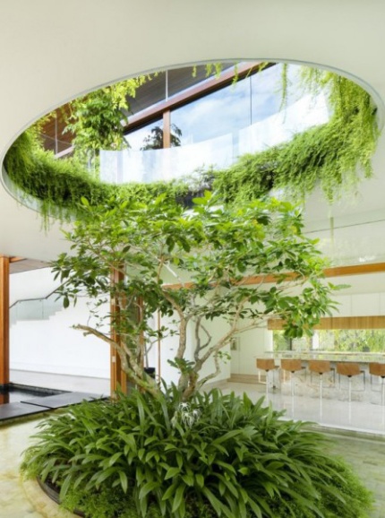 Courtyard Inspiration