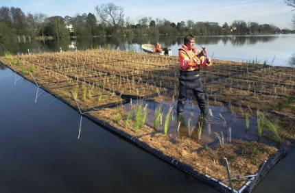 Floating Reed Beds